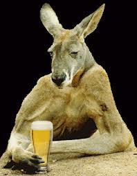 kangaroos_bière