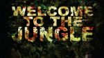 Welcome to the Jungle le 15 mai