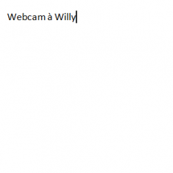 webcamwilly
